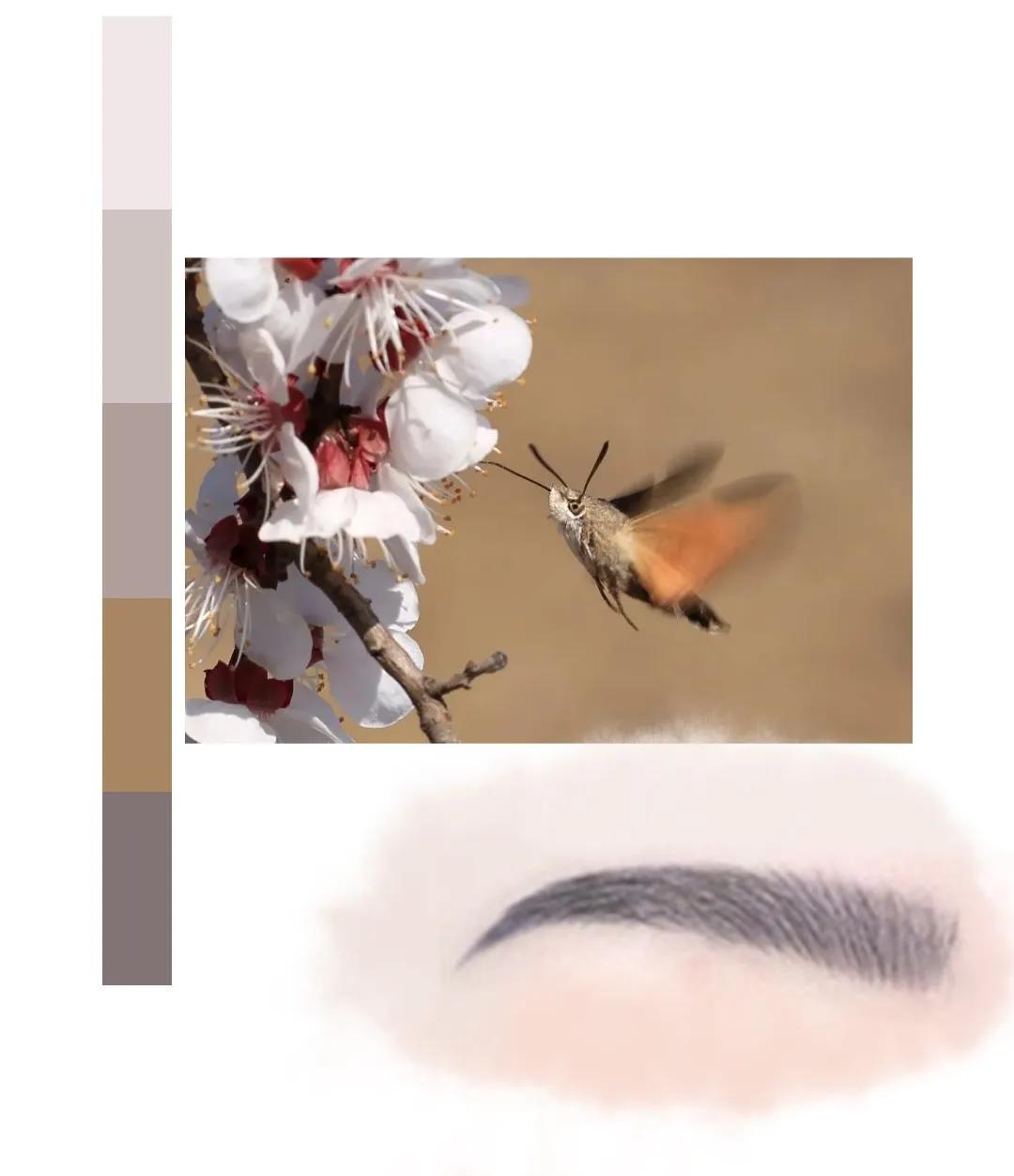 鐩存挱閭兏娌冲寳宸ョ▼澶у,娌冲寳宸ョ▼澶у缇庡