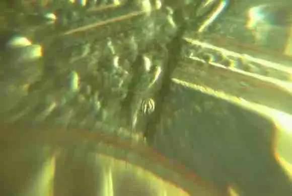 第一轮生肖流通纪念币暗记,流通纪念币图册