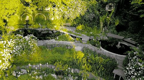 一个安徽爷爷，花1万块种出5000㎡私家花园，被评为中国最美