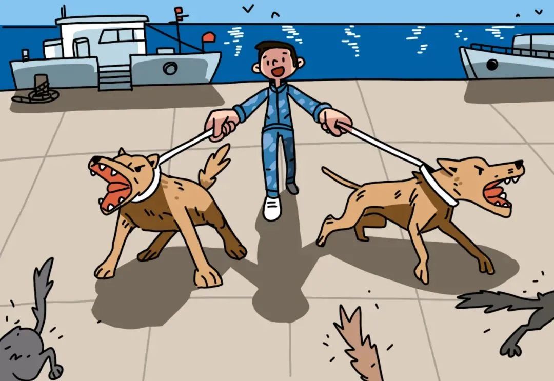 观往知来的含义,一封寄到西沙的信