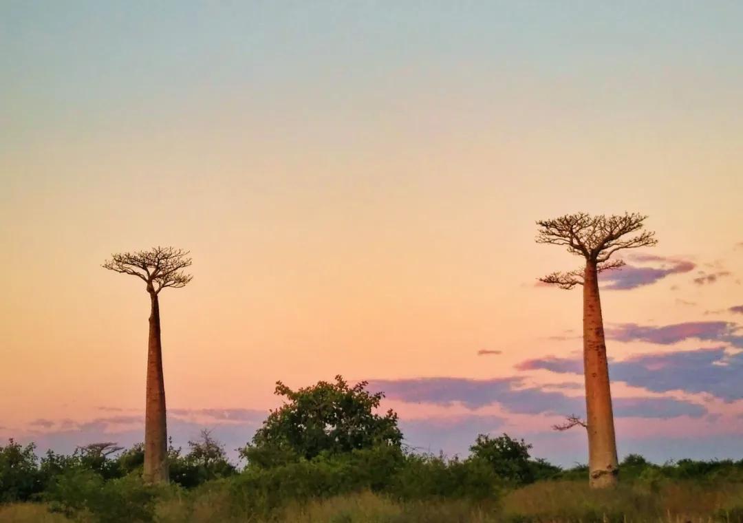 十年后农村女孩逆袭成为女总,一个农村姑娘的十年从乡村到城市