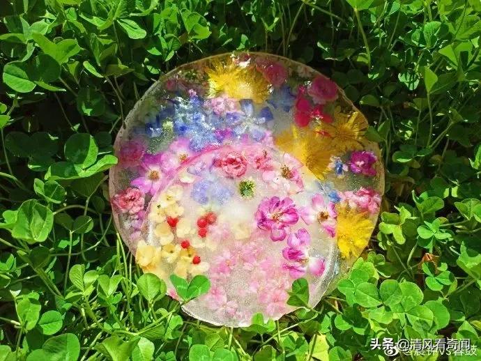 冻冰花美篇,冻冰花的美篇