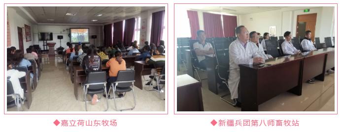 勃林格牛气学院首播|分享干奶期乳房炎管理秘诀