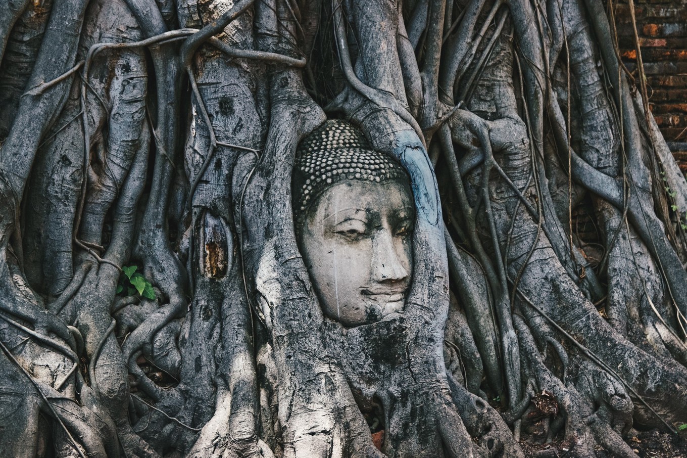 泰国大城府邦芭茵夏宫门票,泰国旅游购物攻略和价格