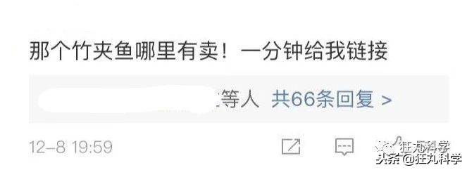 日本秃头猴子吃鱼10个月生发成功，脱发网友求购买链接