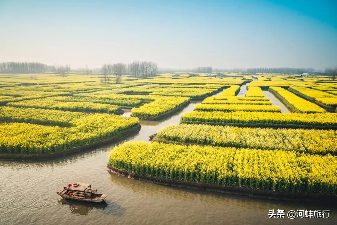 江苏省兴化市垛田,兴化市到千垛油菜花景区怎么走
