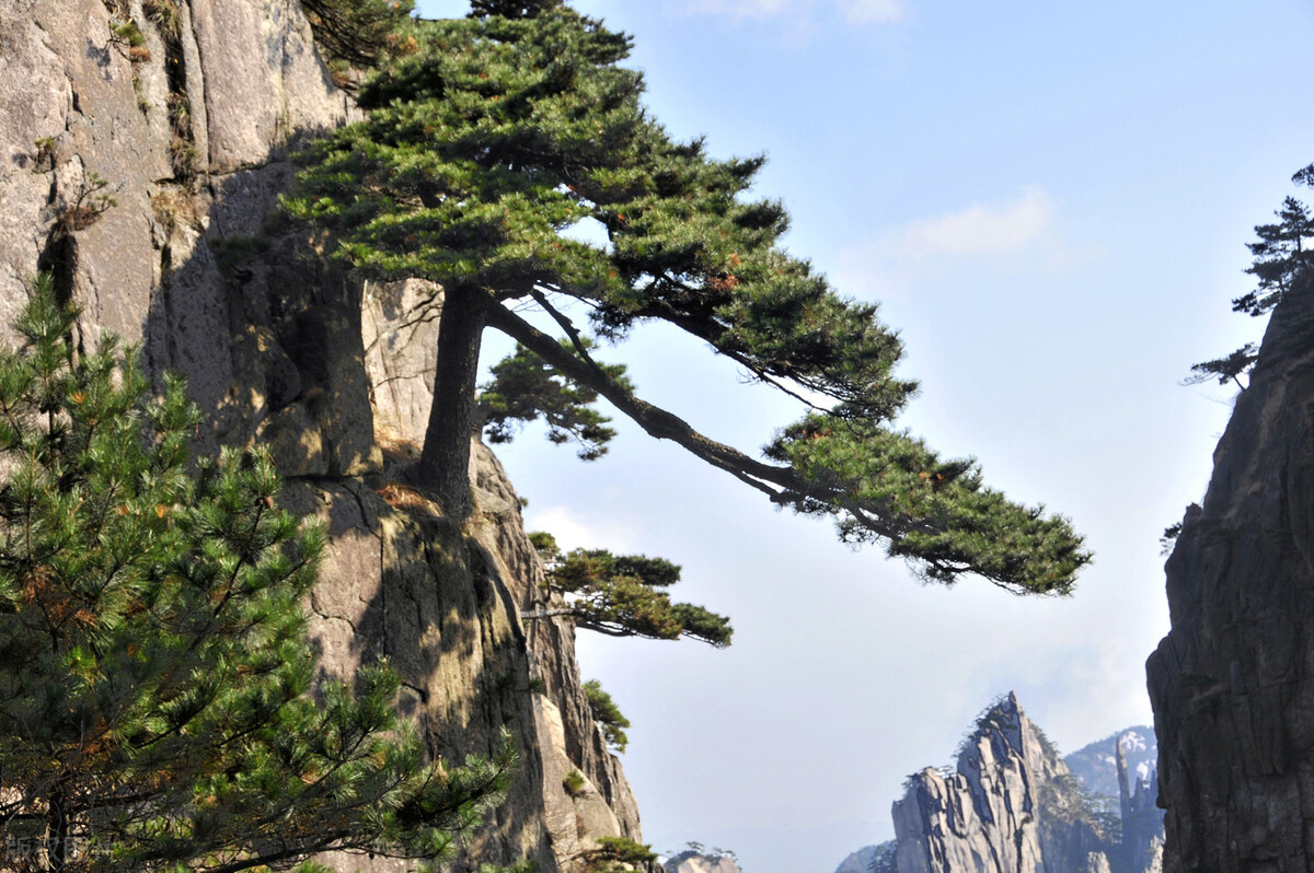 黄山旅游攻略黄山有哪些主要景点,黄山旅游路线两日游推荐攻略