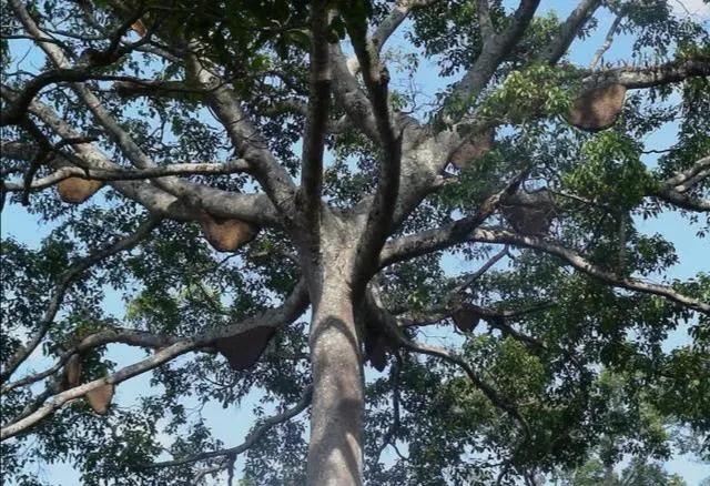 散文拆解资料包,散文朗诵儿歌