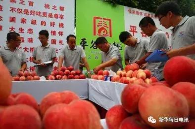 “世界最大桃园”蕴藏的乡村振兴“密码”