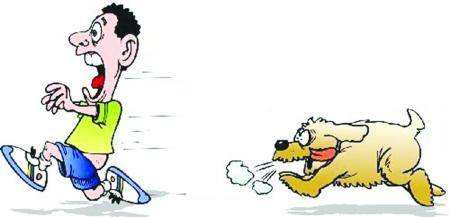 撸猫被咬打疫苗,撸猫撸了一会就咬人