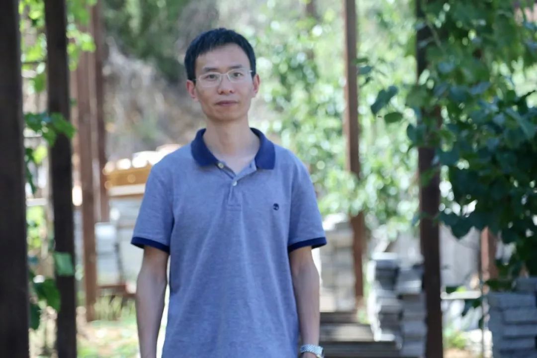 你喝的蜂蜜中可能有多少猫腻?听他给你说|新匠人学院