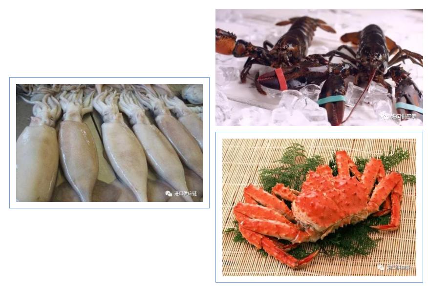 海鲜进口流程及注意事项,海鲜进口清关