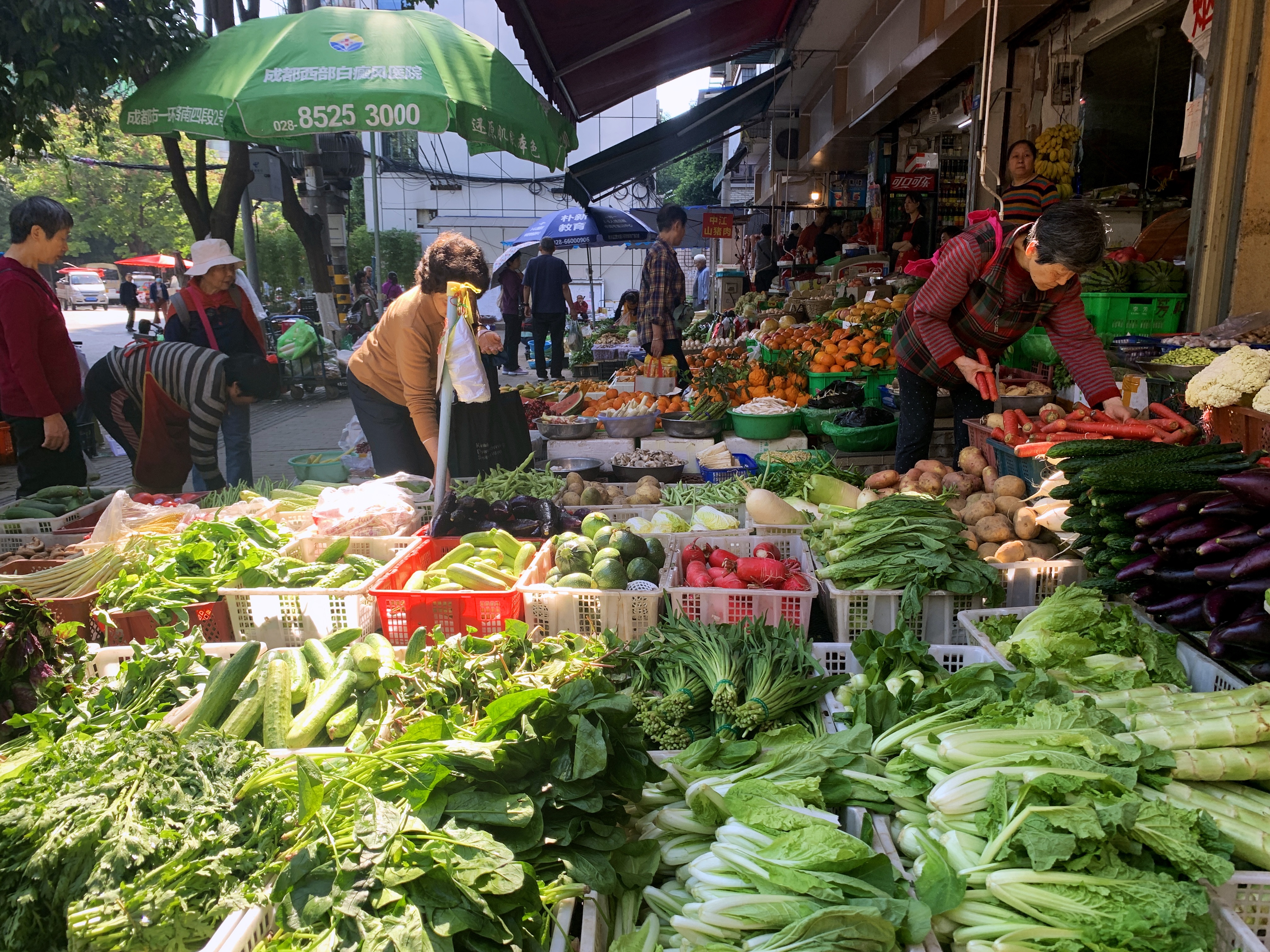 2021幸福感城市成都,2021最具幸福感城市成都