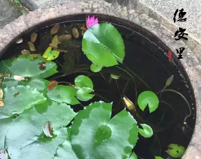 潮汕古寨,广东普宁里湖古寨