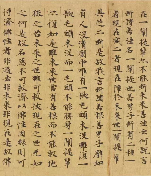 隋人的经书体放大20倍，真的是美不胜收！值得学习！