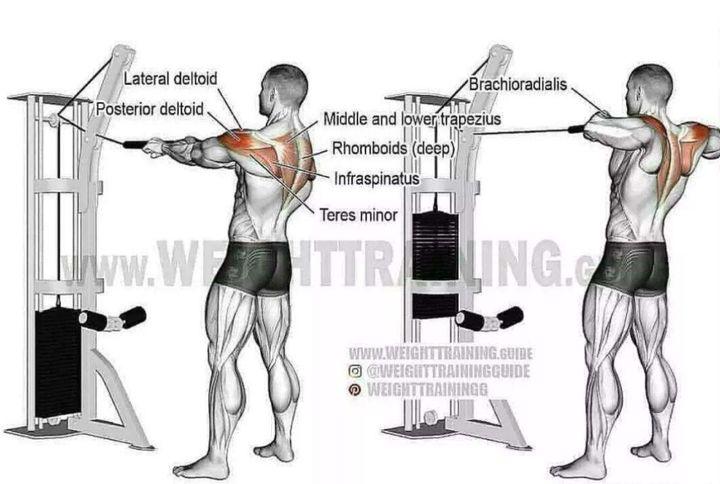 wildfieldhealth牌子如何,wildfieldhealthcare
