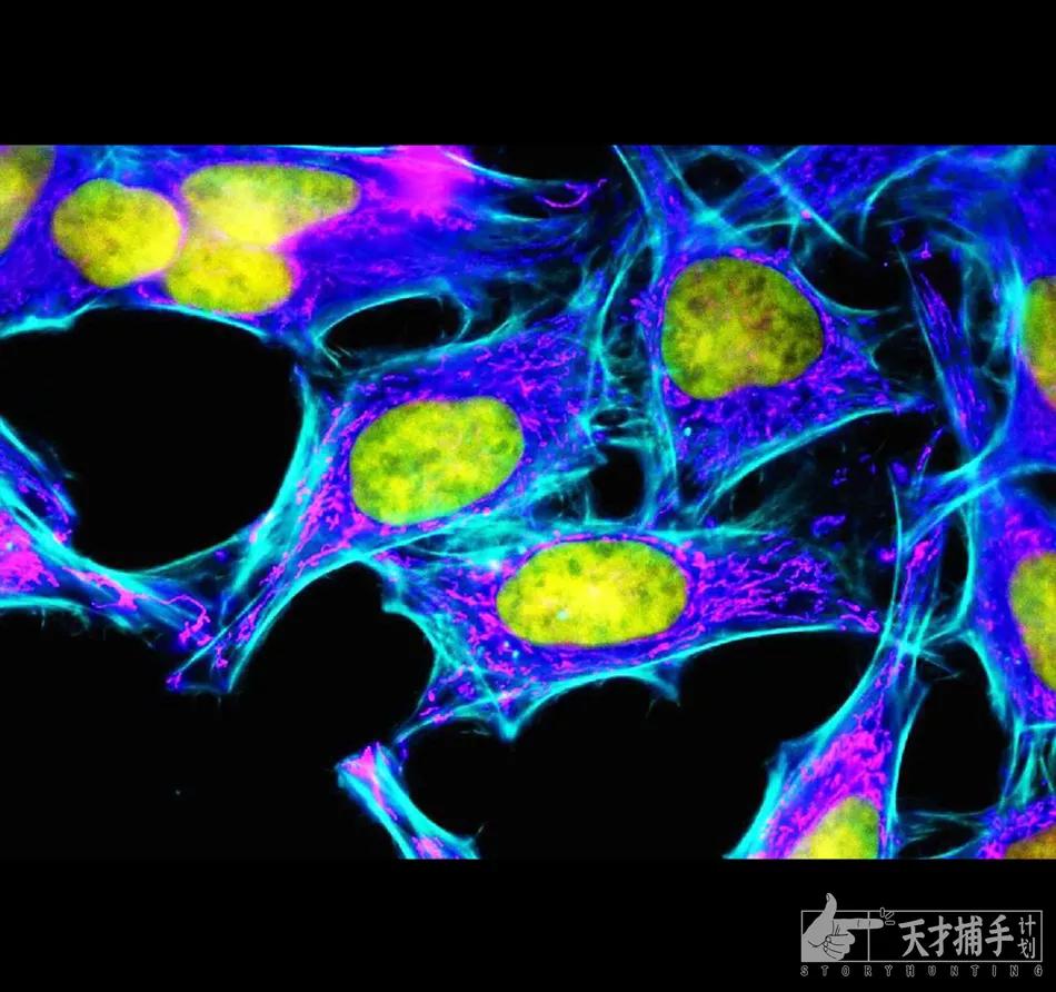 女儿发现离世20年的母亲没死，还被拿去做了杂交实验