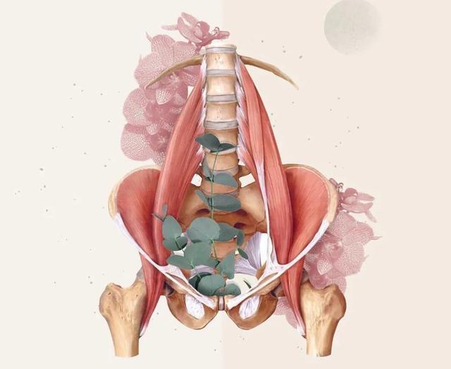 武磊前锋有哪些,武磊早期特点