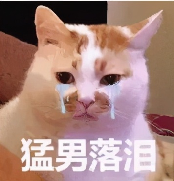 前苏联红色的巨熊,苏联沉睡40年的红色巨熊