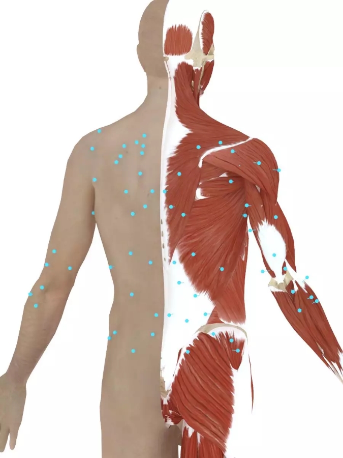 吴建豪街舞队员,吴建豪nba