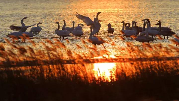 威海景点免费开放,威海拥军卡景点免费