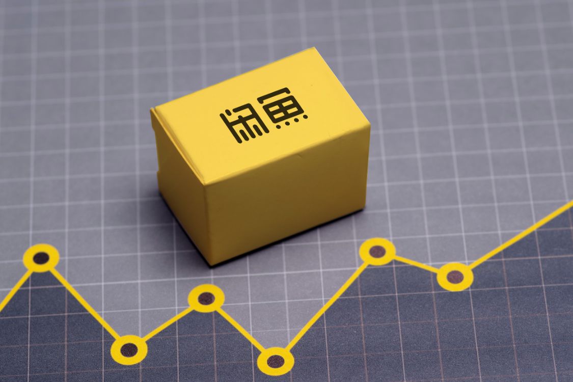 双十一过完后的我,我在异界当二道贩子