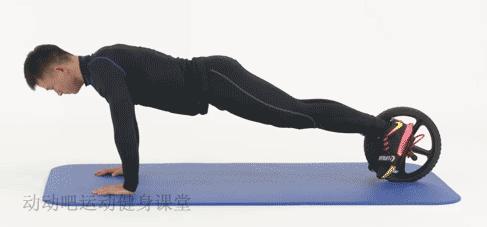 滚出腹肌轮,练腹肌滚轮神器