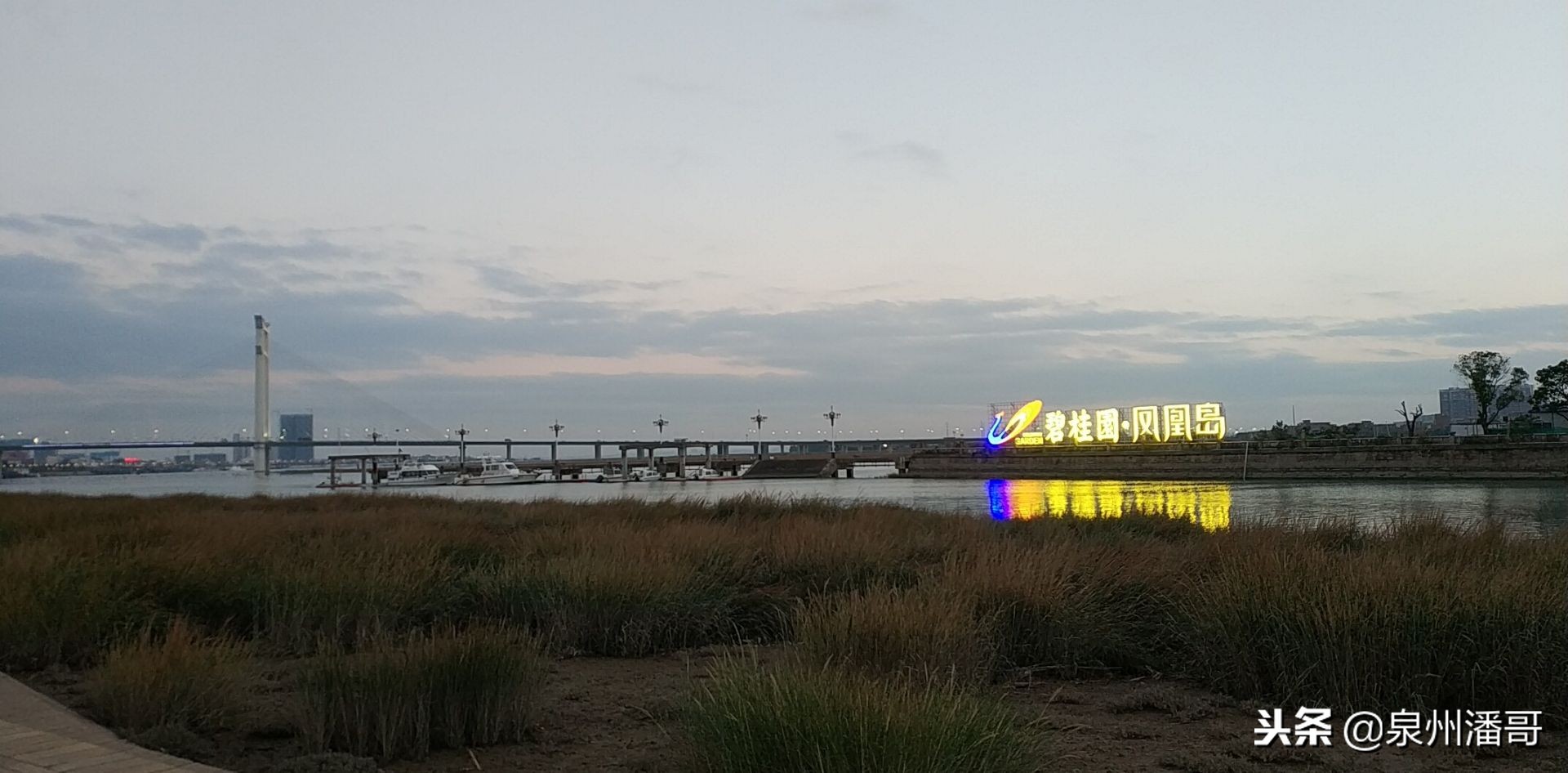 泉州海景国际花园属于哪个街道,海景国际花园泉州