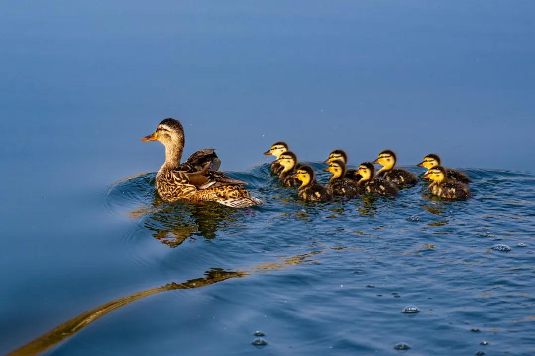 香港第14届全国摄影艺术展,第29届全国摄影艺术展览获奖名单