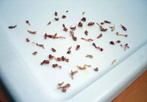 我有十指，爱挖鼻屎