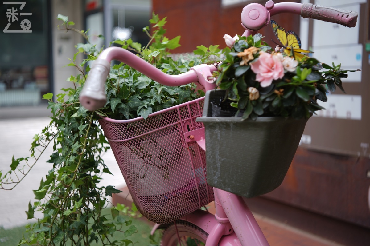 适合索尼a7m4的50定焦镜头测评,索尼a7m4镜头24-105f4测评