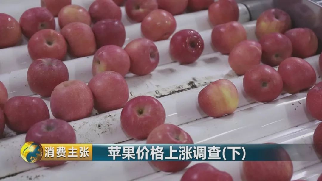 走访终端市场要了解哪些,全国苹果产区最新信息