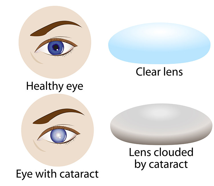 援建火神山工人回家,援建火神山