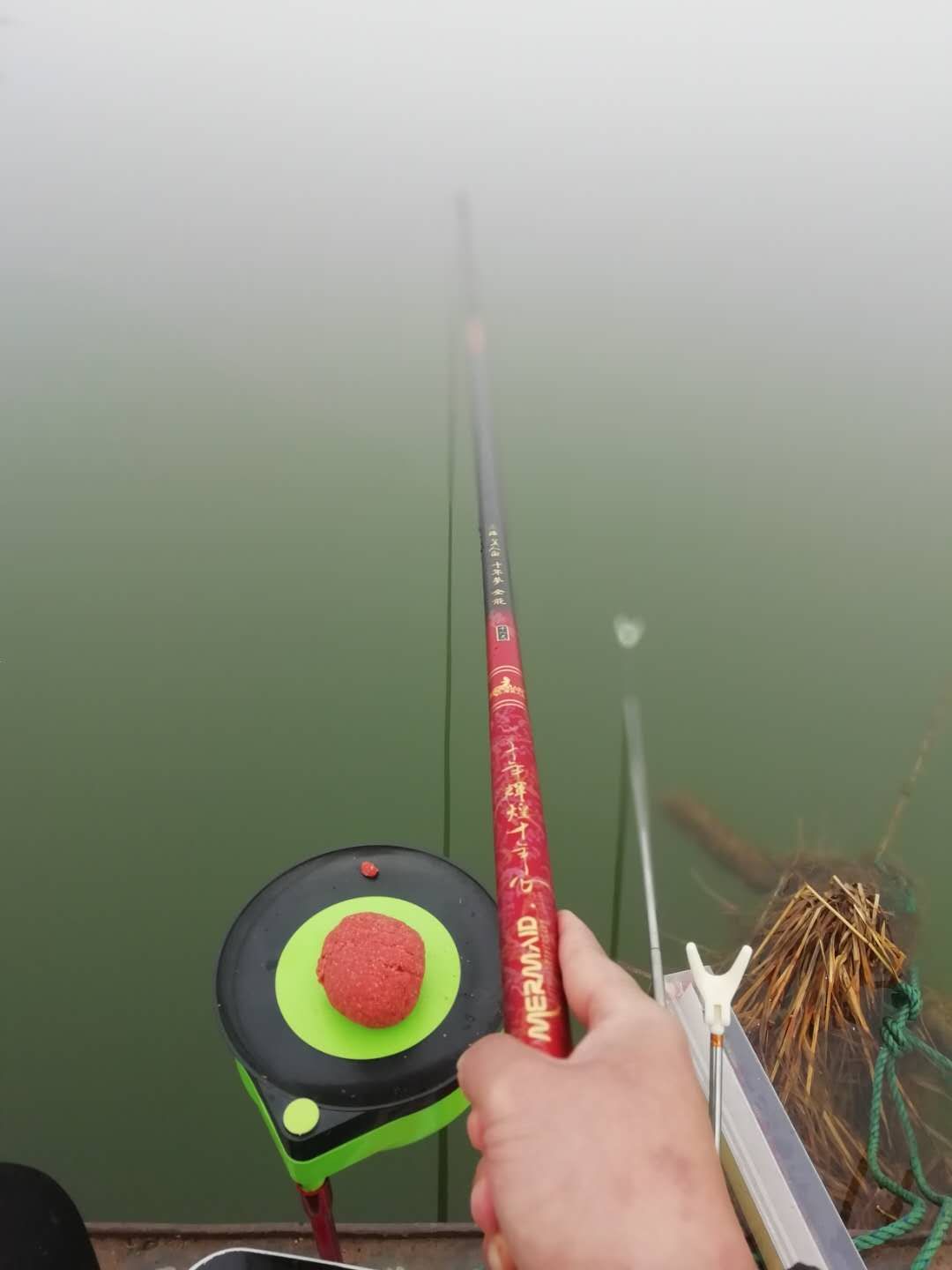 小鱼闹窝特厉害怎么办,小鱼闹窝技巧视频