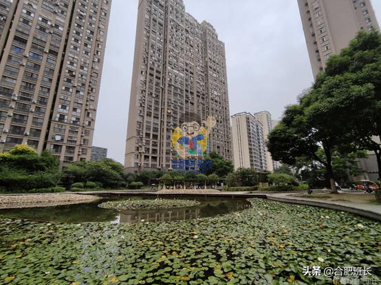 御湖观邸解析,御湖观邸房子质量怎么样