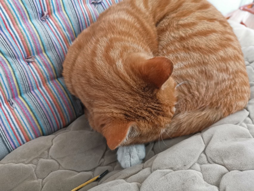 来自北庭汽修服务的帅哥马先生说，修车就是凭良心