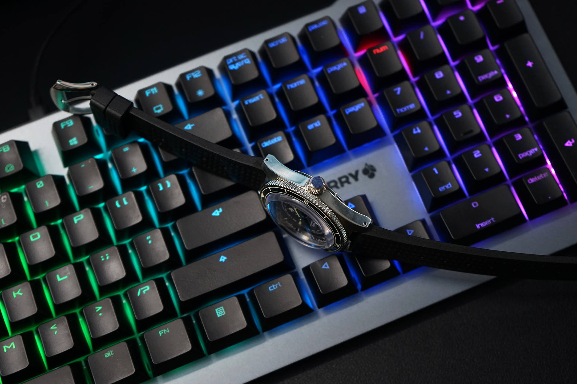 买modely的理由,proxima独角兽