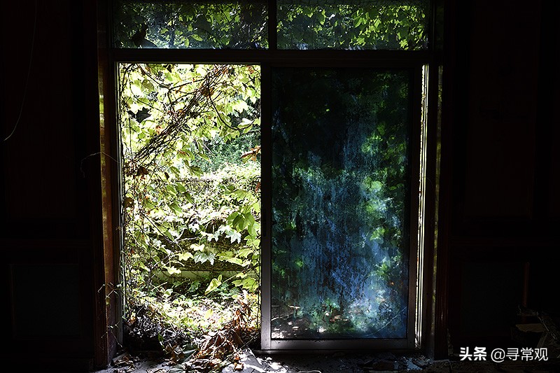 探秘重庆被人遗忘的废墟,被植物吞噬的小区
