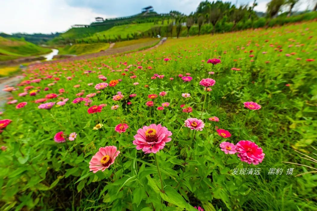 清远止林温泉民宿多少钱一晚,清远独立温泉民宿度假村排名榜