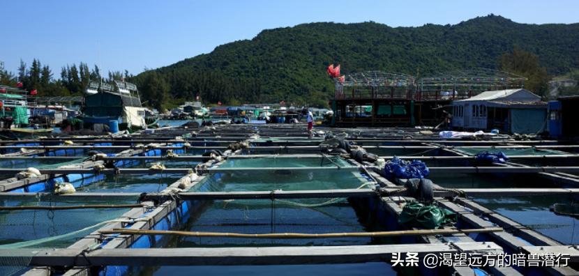 三亚蜈支洲岛后海渔村特色美食街,蜈支洲岛码头后海渔村客栈