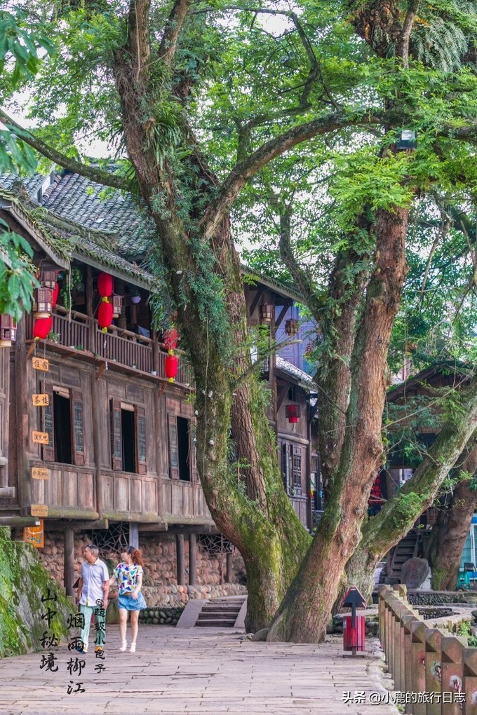 成都附近哪里可以找到美食,成都近郊古镇美食攻略