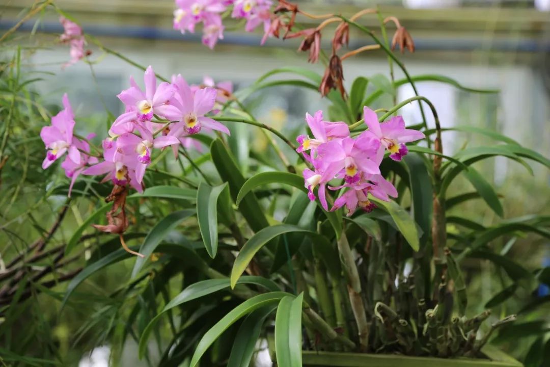 森呼吸运动乐园乘车路线,森呼吸好玩吗