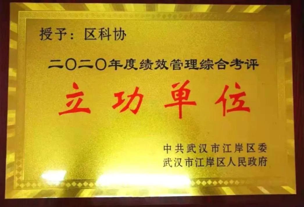 江岸区科技馆,江岸科协2021成绩单