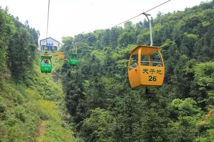 杭州常住人口2022总人数统计,杭州常住人口排名