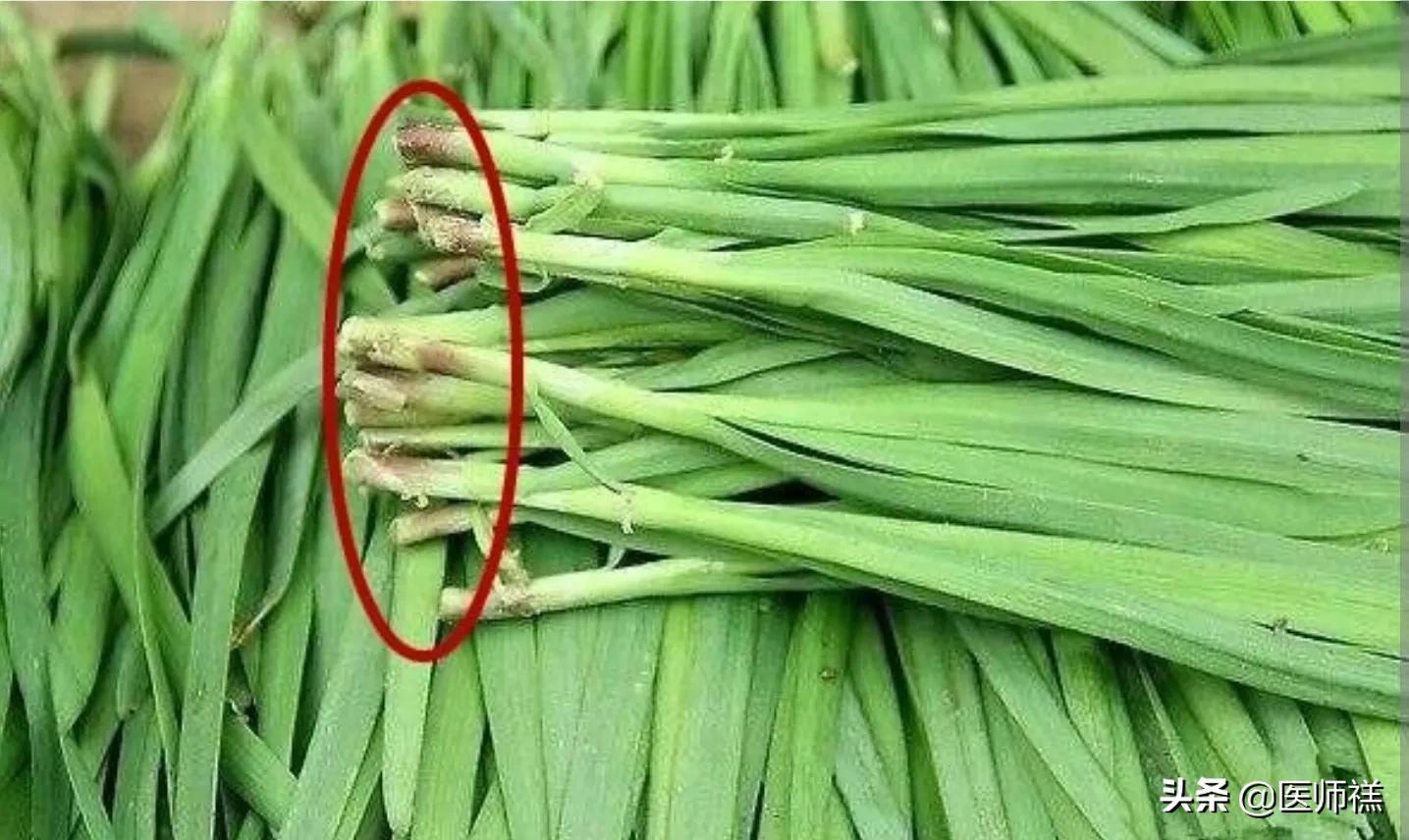 食物中的农药残留有哪些,哪些东西是农药残留的食物