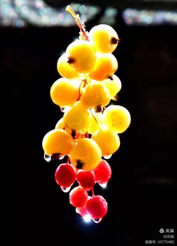 金秋拾贝——战友作品作者：瞿梅初、马庆武、张永学、王健等战友