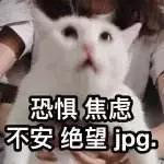 手机换号了绑定的游戏怎么办,换手机号以后以前绑定的app怎么办