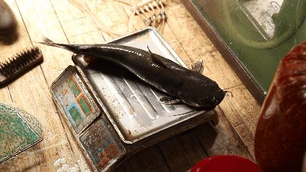 导航上找不见的店,导航都找不到的川菜