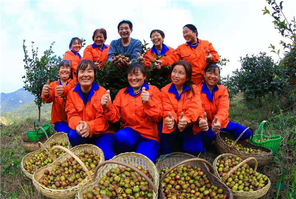 淮河源头油茶香贫困群众喜洋洋