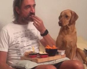 第一次人机大战电影,第一次人机战争